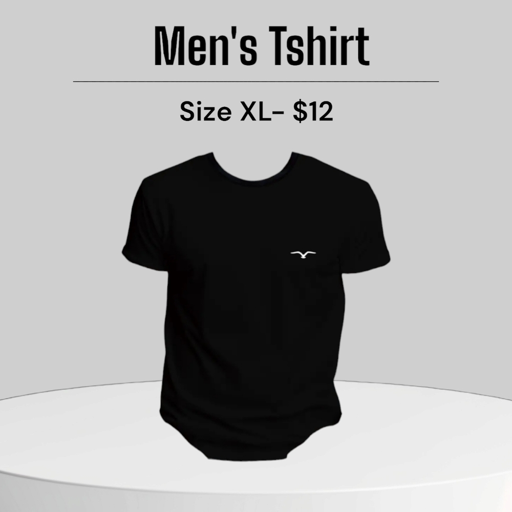 HOLISTER (LIKE) SEAGULL PRINT TSHIRT